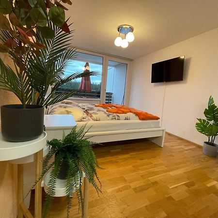 Ferienwohnung In Freudenstadt-Kniebis III Dış mekan fotoğraf
