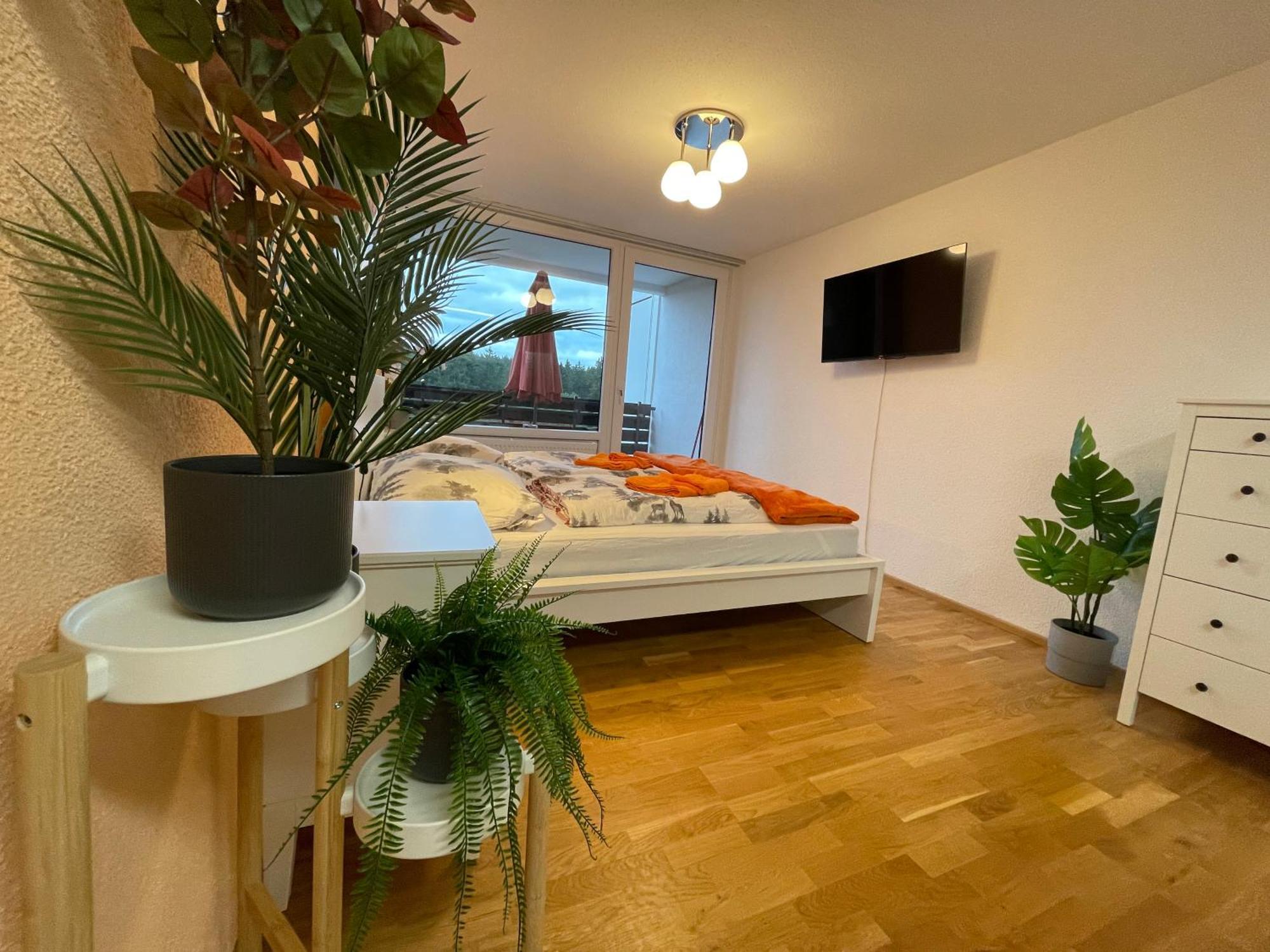 Ferienwohnung In Freudenstadt-Kniebis III Dış mekan fotoğraf